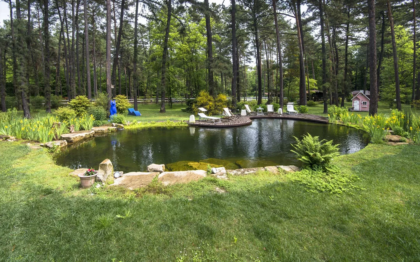 pond shop 23 pond shop -pond shop 3 37