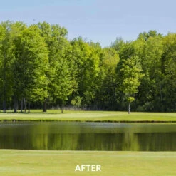 Airmax EasyKlear 2-In-1 Granular Algae & Weed Control (Same As Hydrothol) 10 Airmax EasyKlear 2-In-1 Granular Algae & Weed Control (Same As Hydrothol) -pond shop airmax easyklear defense after 1000 27312.1667236237