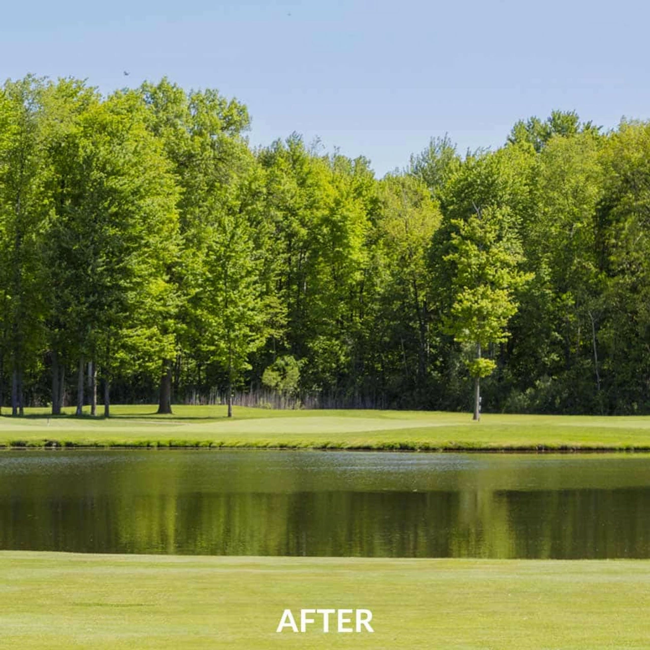 Airmax EasyKlear 2-In-1 Granular Algae & Weed Control (Same As Hydrothol) 6 Airmax EasyKlear 2-In-1 Granular Algae & Weed Control (Same As Hydrothol) - Image 4