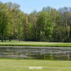 Airmax EasyKlear 2-In-1 Granular Algae & Weed Control (Same As Hydrothol) 9 Airmax EasyKlear 2-In-1 Granular Algae & Weed Control (Same As Hydrothol) -pond shop airmax easyklear defense before 1000 39257.1667236237