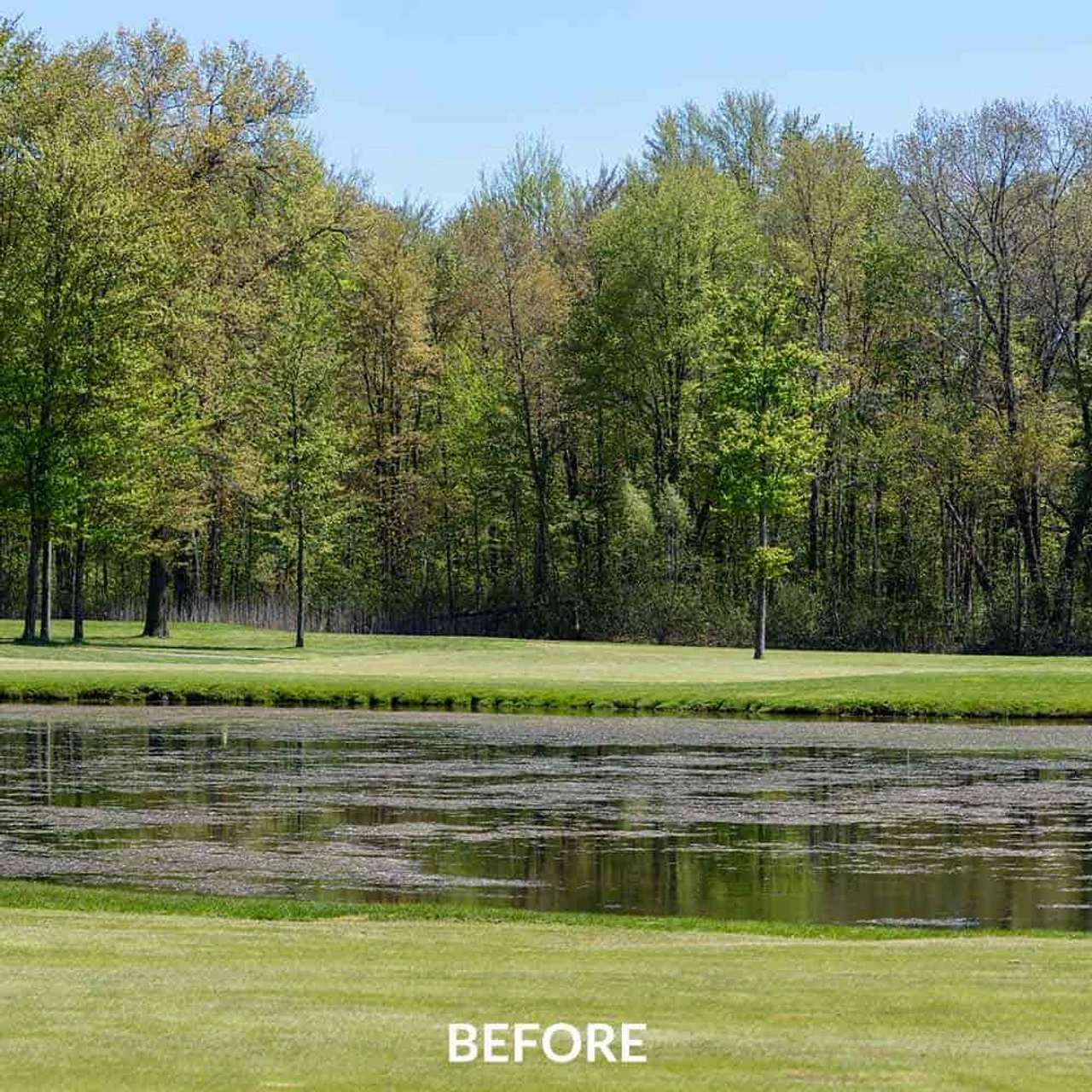 Airmax EasyKlear 2-In-1 Granular Algae & Weed Control (Same As Hydrothol) 5 Airmax EasyKlear 2-In-1 Granular Algae & Weed Control (Same As Hydrothol) - Image 3