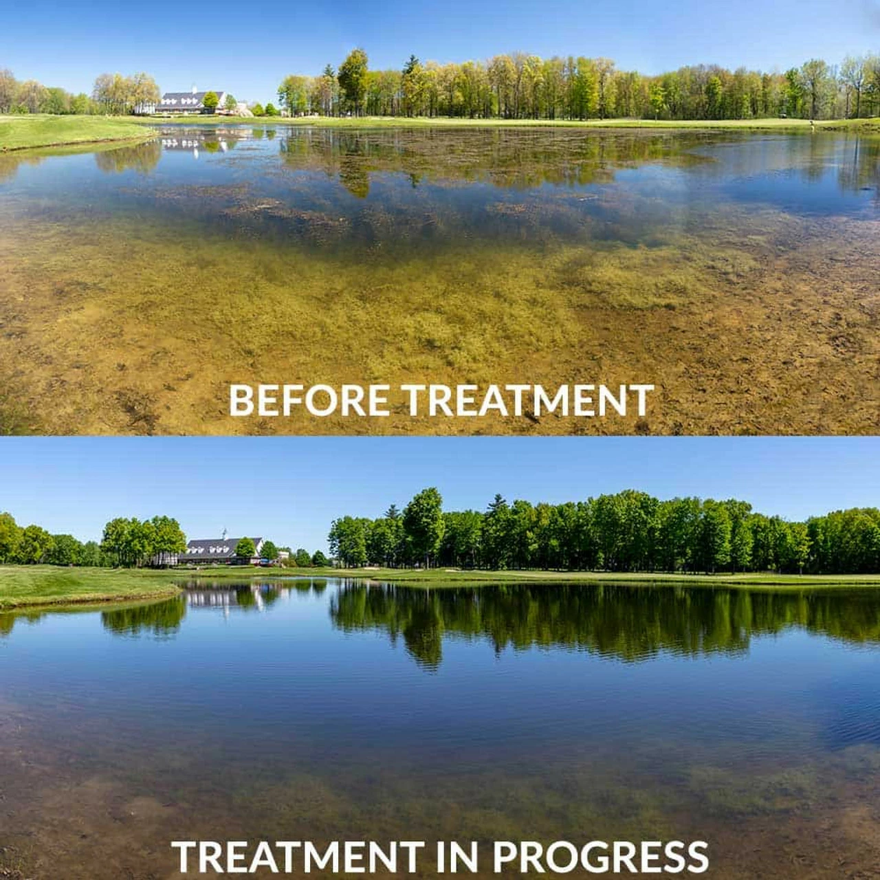 Airmax EasyKlear 2-In-1 Granular Algae & Weed Control (Same As Hydrothol) 4 Airmax EasyKlear 2-In-1 Granular Algae & Weed Control (Same As Hydrothol) - Image 2