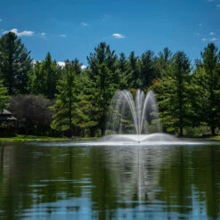 Airmax LakeSeries 2 HP Fountain, 230V -pond shop airmax lakeseries fountain blossom nozzle 1000 06620.1663676471