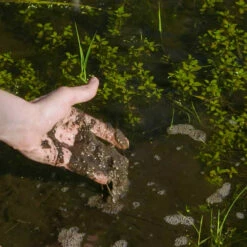 Airmax MuckAway -pond shop airmax muckaway pond muck in hand 1000 60227.1650631506