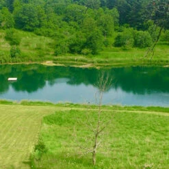 Airmax ClearPAC Plus -pond shop airmax natures blue pond dye after 11202 23169.1690808169