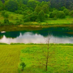 Airmax ClearPAC Plus -pond shop airmax natures blue pond dye before 04935 64071.1690808169