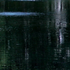 Airmax Pond Dye Packets 17 Airmax Pond Dye Packets -pond shop airmax pond dye black dyemond pond 1000 33435.1643741337