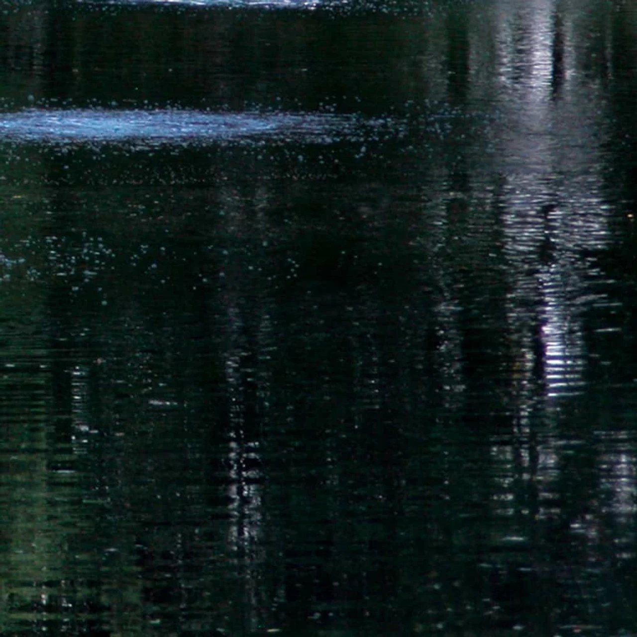 Airmax Pond Dye Packets 8 Airmax Pond Dye Packets - Image 6