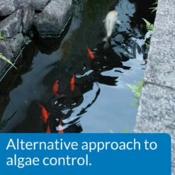 API PondCare Microbial Algae Clean -pond shop alternative algae control 1000 13794.1666618175