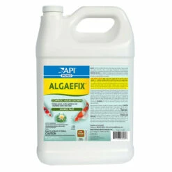 API AlgaeFix -pond shop api algaefix 1gallon 1000 09136.1666893864