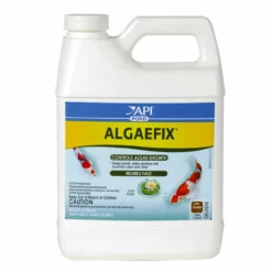 API Pond Essentials With Food -pond shop api algaefix 32ounce 1000 20703.1643736789