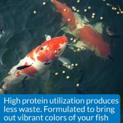 API Cool Water Pond Food 1.4 Lb -pond shop api cool water fish food protein callout 1000 60318.1661962536