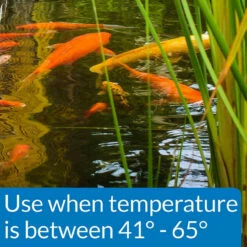 API Cool Water Pond Food 1.4 Lb -pond shop api cool water fish food temp callout 1000 53074.1661962536