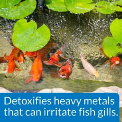 API Pond Chlorine & Heavy Metal Neutralizer -pond shop api pond chlorine detoxifier 1000 54866.1665411450