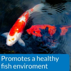 API Clear Pond Essential Bundle 13 API Clear Pond Essential Bundle -pond shop api pond ecofix sludge destroyer healthy environment 1000 82900.1643736454