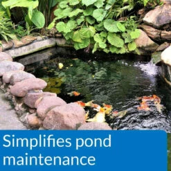 API Clear Pond Essential Bundle 14 API Clear Pond Essential Bundle -pond shop api pond ecofix sludge destroyer reduce maintenance 1000 12159.1643736454
