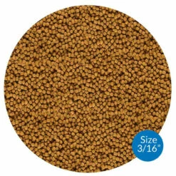 API Pond Fish Food -pond shop api pond fish food 3 16inch pellets 1000 04070.1661967052