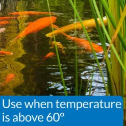 API Pond Fish Food -pond shop api pond fish food temp callout 1000 39493.1661967052