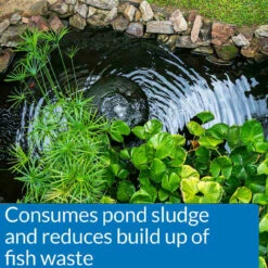 API Pond Simply Clear -pond shop api pond simply clear consumes sludge 1000 80508.1659374845