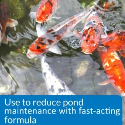 API Pond Simply Clear -pond shop api pond simply clear reduce maintenance 1000 63958.1659374845