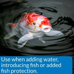 API Pond Stress Coat -pond shop api pond stress coat fish protection 1000 85438.1643737636