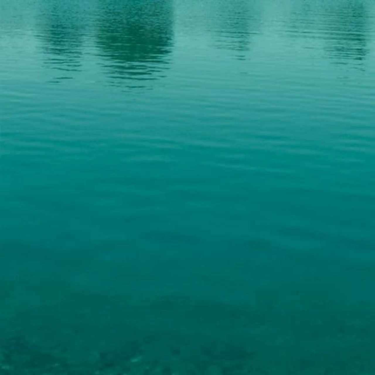 Aquashade - 1 Gallon 4 Aquashade - 1 Gallon - Image 2