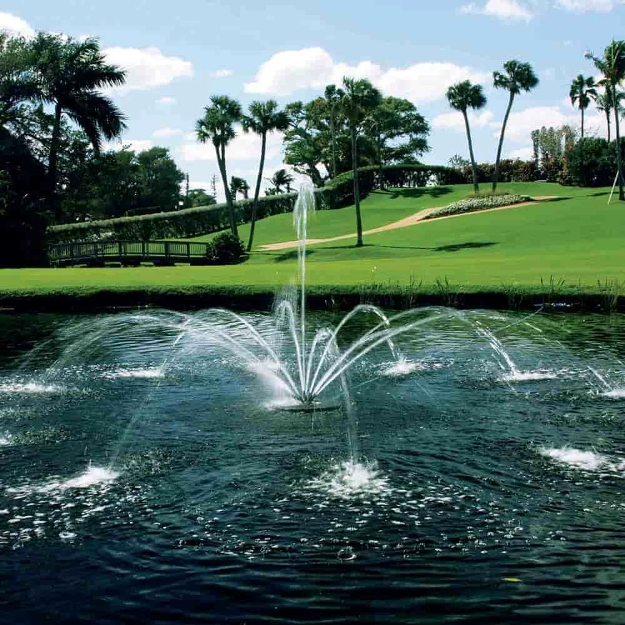 Accessories Arum Nozzle For Aqua Control Evolution Series 1/2 HP Fountain 4 Accessories Arum Nozzle For Aqua Control Evolution Series 1/2 HP Fountain - Image 2