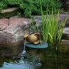Aquascape Lazy Frog On Lily Pad Spitter -pond shop aquascape lazy frog spitter 1000 74338.1663869520