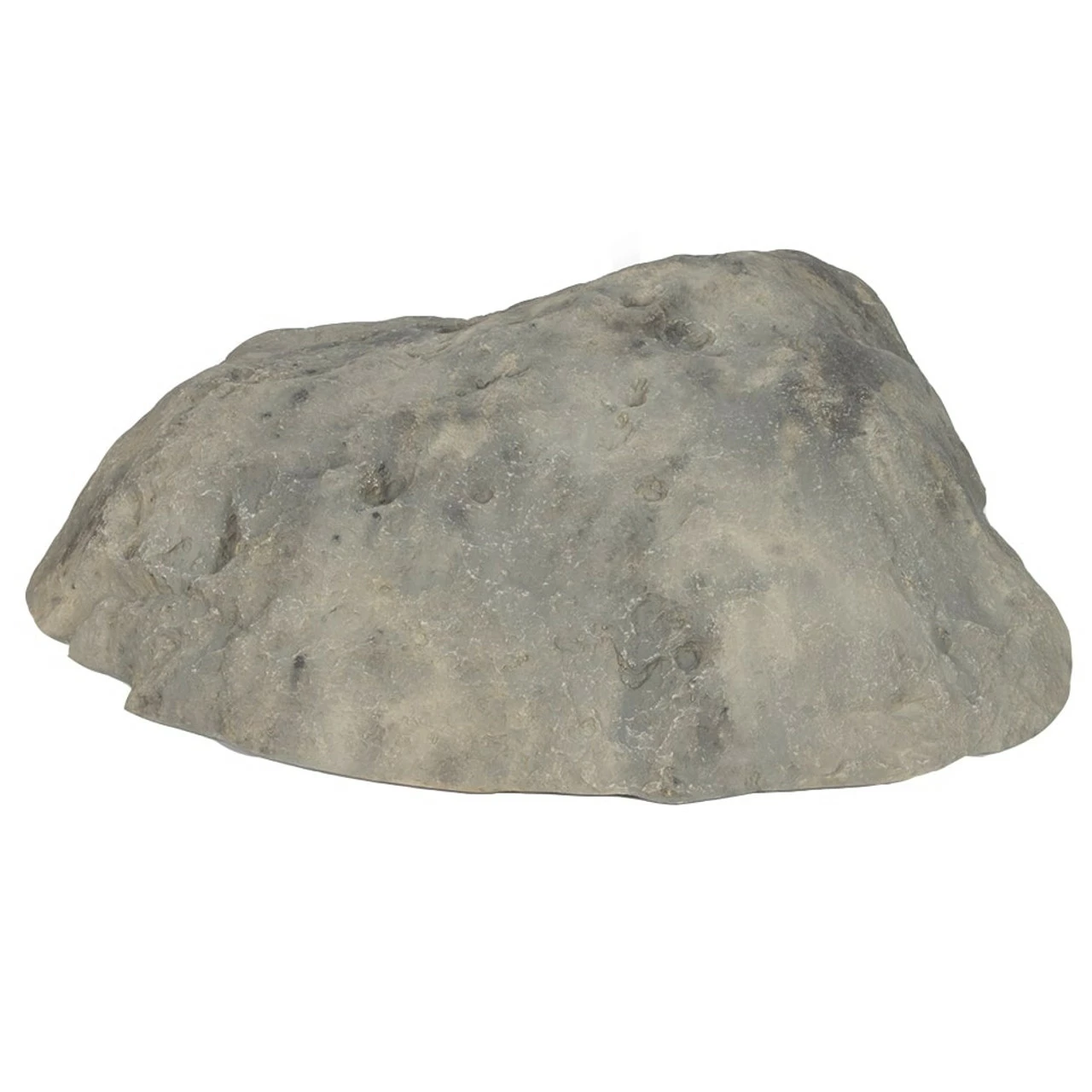 Atlantic Large Rock Lids 3 Atlantic Large Rock Lids