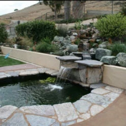 Pond Armor Pond Shield Epoxy Crack RX Prefill 8 Pond Armor Pond Shield Epoxy Crack RX Prefill -pond shop backyard stream pond 1000 86202.1681413305