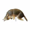 Bird-X 3D-Coyote Decoy -pond shop bird x coyote decoy 1000 51585.1659701424