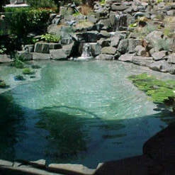 Pond Armor Pond Shield Non-Toxic Epoxy Pond Liner 1.5 Gallons 13 Pond Armor Pond Shield Non-Toxic Epoxy Pond Liner 1.5 Gallons -pond shop blue pond 1000 26337.1643671232