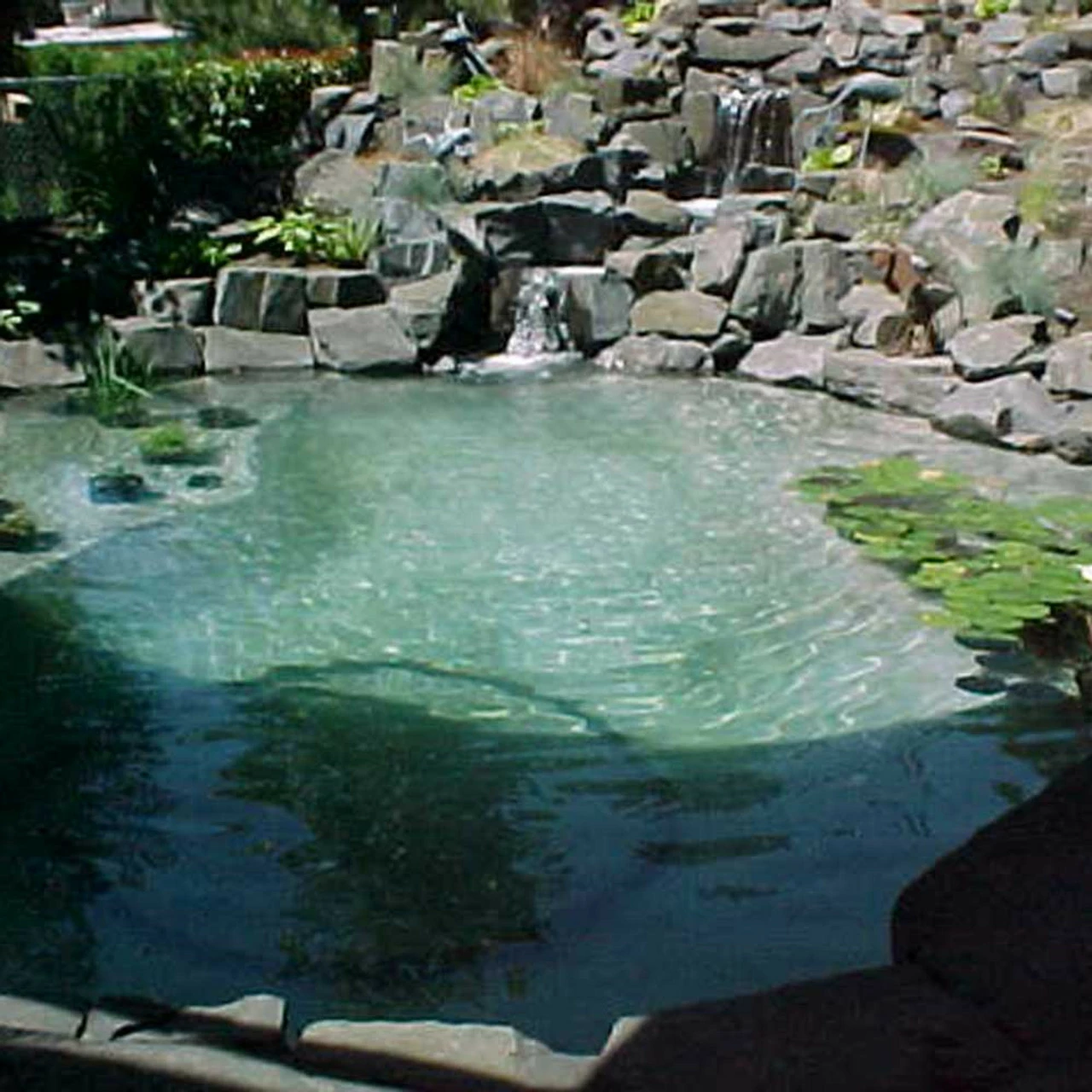 Pond Armor Pond Shield Non-Toxic Epoxy Pond Liner 1.5 Gallons 6 Pond Armor Pond Shield Non-Toxic Epoxy Pond Liner 1.5 Gallons - Image 4