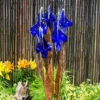 Blue Thumb Copper Blue Iris Fountain Kit -pond shop blue thumb copper blue iris fountain 1000 09819.1666961974