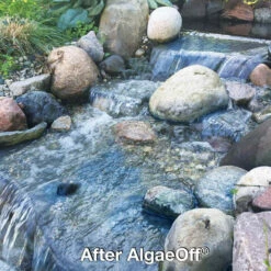 CrystalClear AlgaeOff String Algae Remover -pond shop crystalclear algaeoff after 1000 05357.1682005935