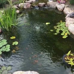 CrystalClear PondShock 11 CrystalClear PondShock -pond shop crystalclear pondshock after 38908.1679929103