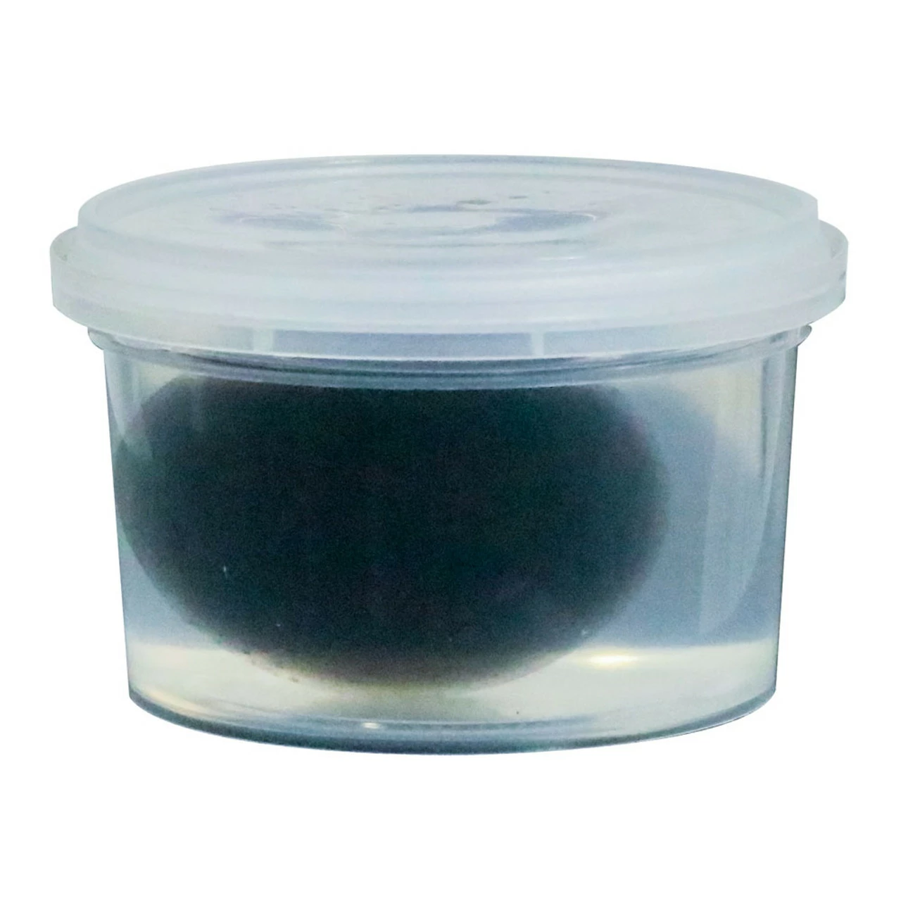 CrystalClear PondShock 4 CrystalClear PondShock - Image 2