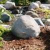 CrystalClear TrueRock Small Boulder Covers 18L X 16W X 11H-Inch 1 CrystalClear TrueRock Small Boulder Covers 18L X 16W X 11H-Inch -pond shop crystalclear truerock boulder small greystone 1000 80195.1645813091