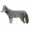 De-Coy-ote Decoy -pond shop de coy ote 1000 37102.1659701187