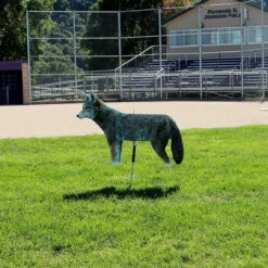De-Coy-ote Decoy -pond shop de coy ote ball field 1000 95222.1659701187