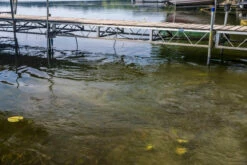 Kasco AquatiClear Water Circulator W/ Universal Dock Mount, 3/4 HP, 115V -pond shop dock ripples 50228.1652381404