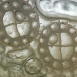 Evolution Aqua K+ Advanced Filter Media -pond shop evolution aqua k plus advanced media 1000 96105.1649498658