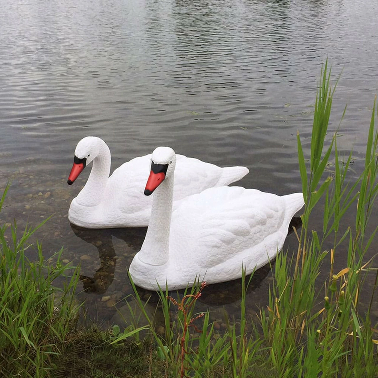 Floating Swan Decoy Pair 3 Floating Swan Decoy Pair