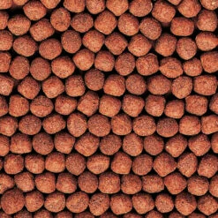 Hikari Gold Fish Food -pond shop hikari gold fish food close up 1000 35807.1643675742