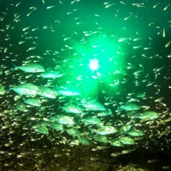 Hydro Glow Underwater Anchored Dock Lights, SF Model -pond shop hydro glow deep water fishing led globe light feature 1000 06613.1683289406