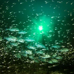 Hydro Glow Deep Water Fishing LED Globe Light 7 Hydro Glow Deep Water Fishing LED Globe Light -pond shop hydro glow deep water fishing led globe light feature 1000 59051.1656611977