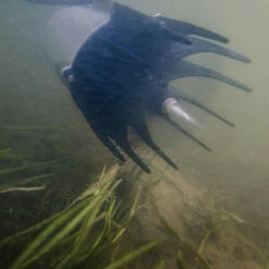 Kasco AquatiClear Water Circulator W/ Horizontal Float, 1 HP, 230V 14 Kasco AquatiClear Water Circulator W/ Horizontal Float, 1 HP, 230V -pond shop kasco aquaticlear circulator under floatb 1000 35993.1652385164