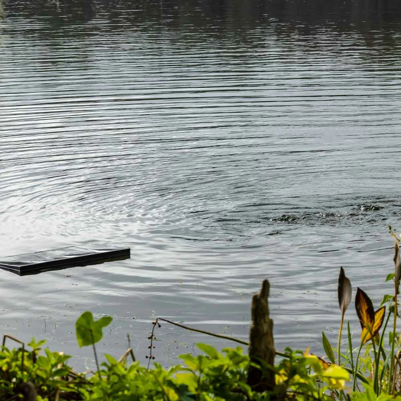 Kasco AquatiClear Water Circulator W/ Horizontal Float, 1/2 HP, 115V 6 Kasco AquatiClear Water Circulator W/ Horizontal Float, 1/2 HP, 115V - Image 4