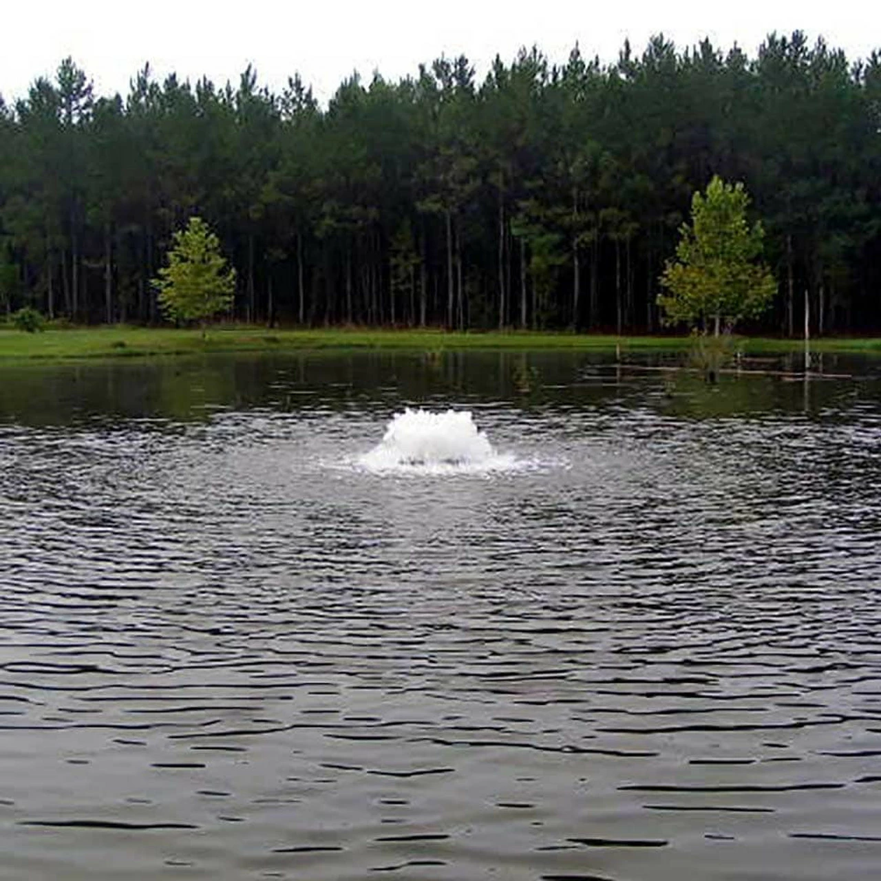 Kasco 3/4 HP 3400AF Surface Aerator 115V Or 230V 5 Kasco 3/4 HP 3400AF Surface Aerator 115V Or 230V - Image 3