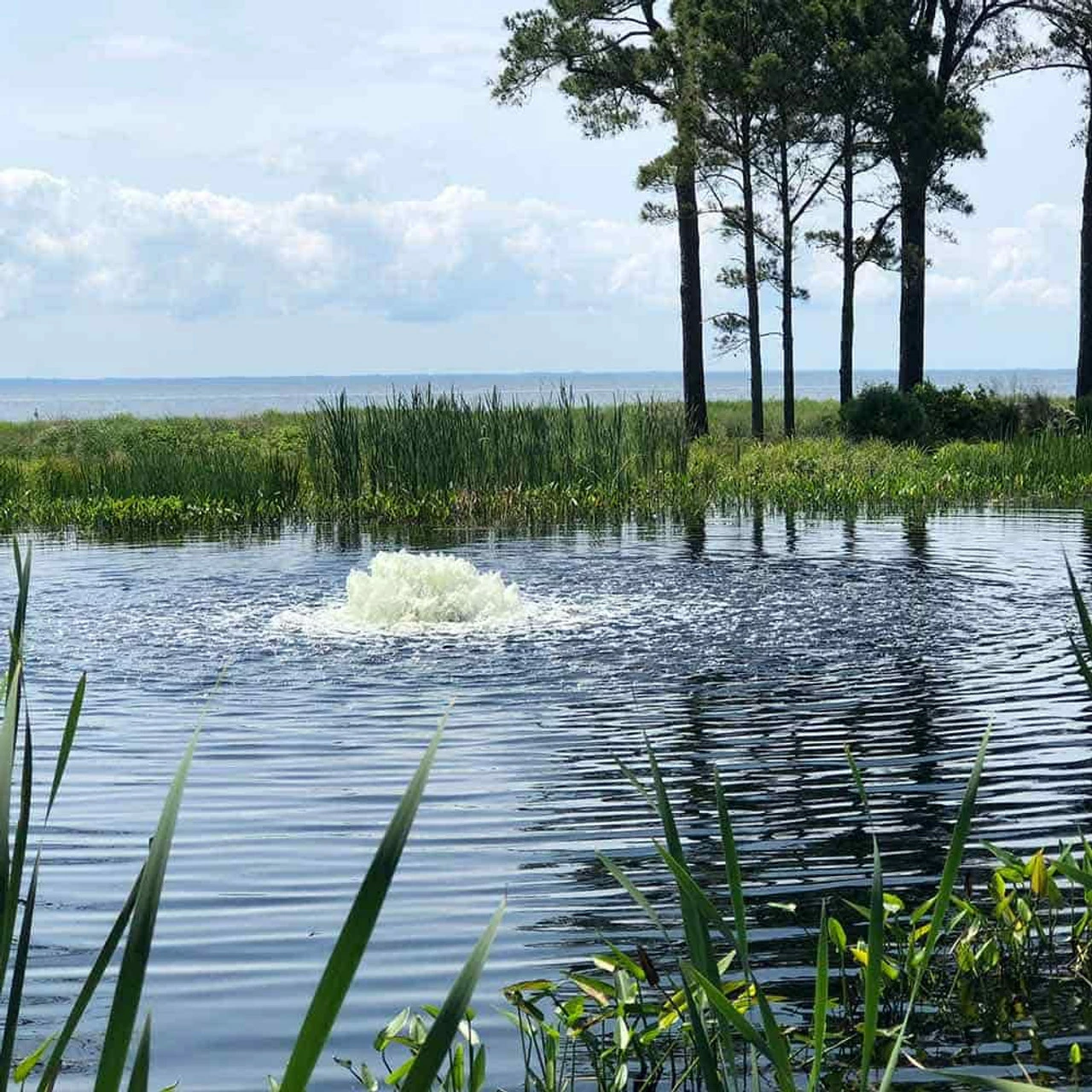 Kasco 1 HP 4400AF Surface Aerator 115V Or 230V 3 Kasco 1 HP 4400AF Surface Aerator 115V Or 230V